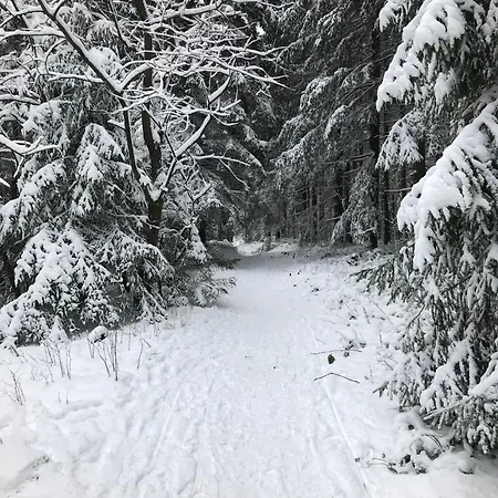 Bergluft 아파트 *