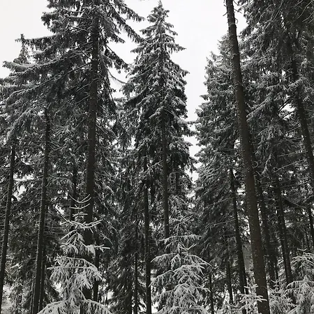 아파트 Bergluft *