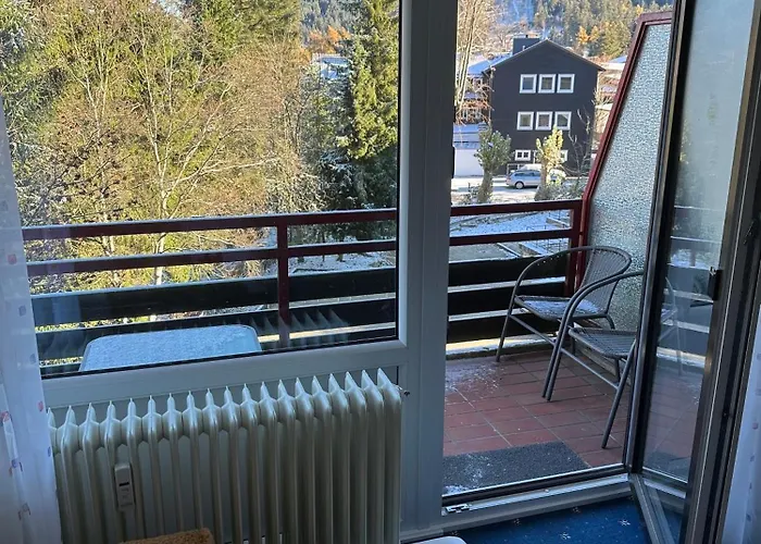 公寓 Bergluft 戈斯拉尔