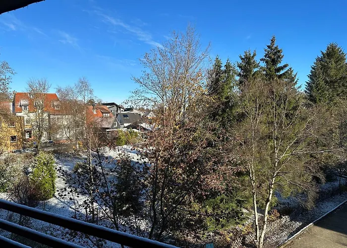 Bergluft 戈斯拉尔